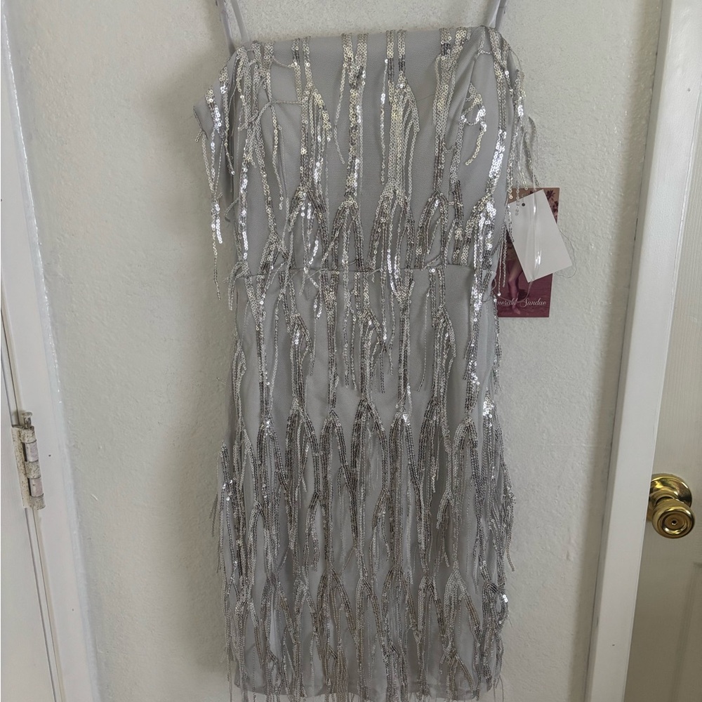 Silver Sequin Fringe Dress